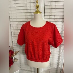 Ann Taylor Red Eyelet Blouse